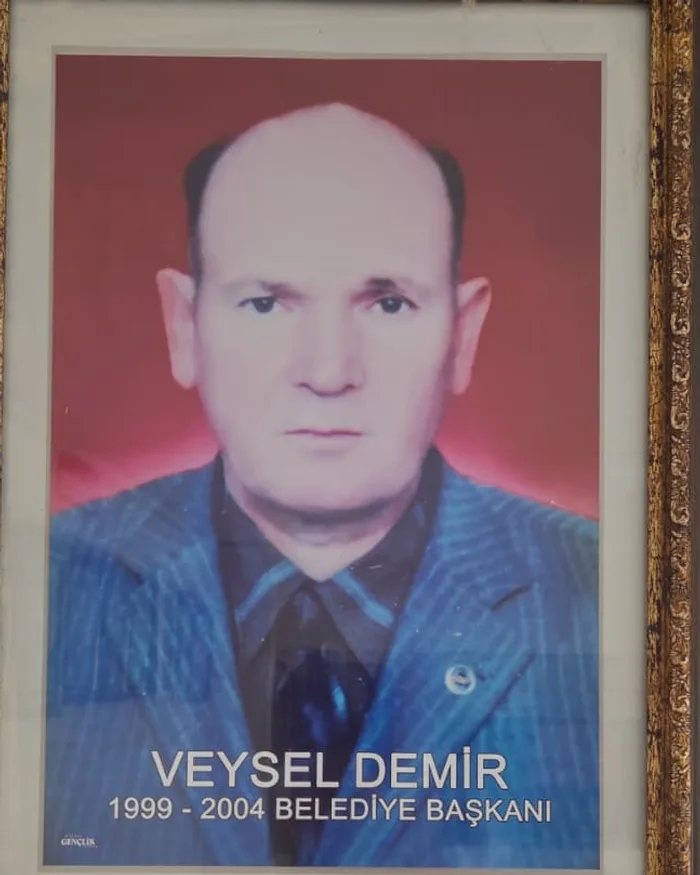 Veysel DEMİR