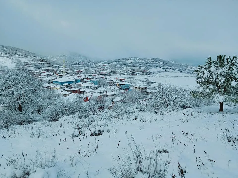Kış manzaraları