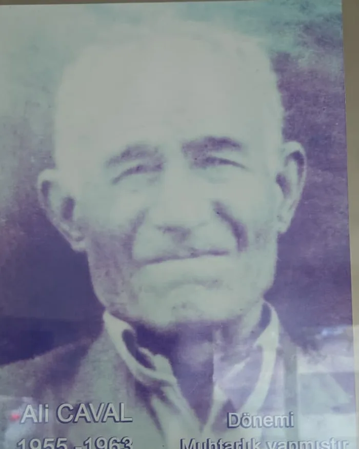 Ali CAVAL